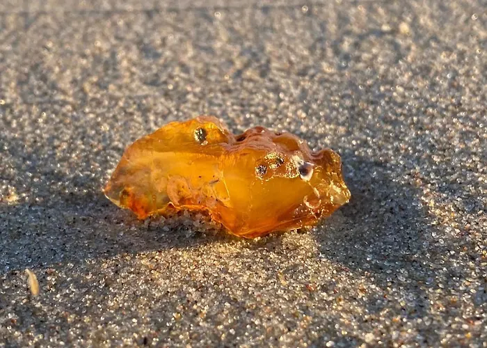 Piaskowa 13 - Dla Podrozujacych Bez Dzieci Daire *