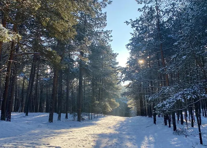 Daire Piaskowa 13 - Dla Podrozujacych Bez Dzieci Mikoszewo